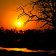 Image for article titled Shooting Challenge Sunset Gallery 3